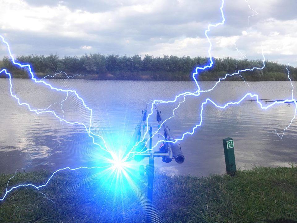 carpbook - 1477602609575815756890306132527n.jpg